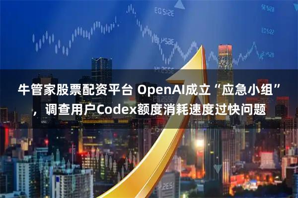 牛管家股票配资平台 OpenAI成立“应急小组”，调查用户Codex额度消耗速度过快问题